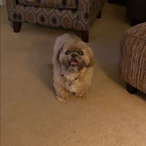 Meet your Posher, Steve